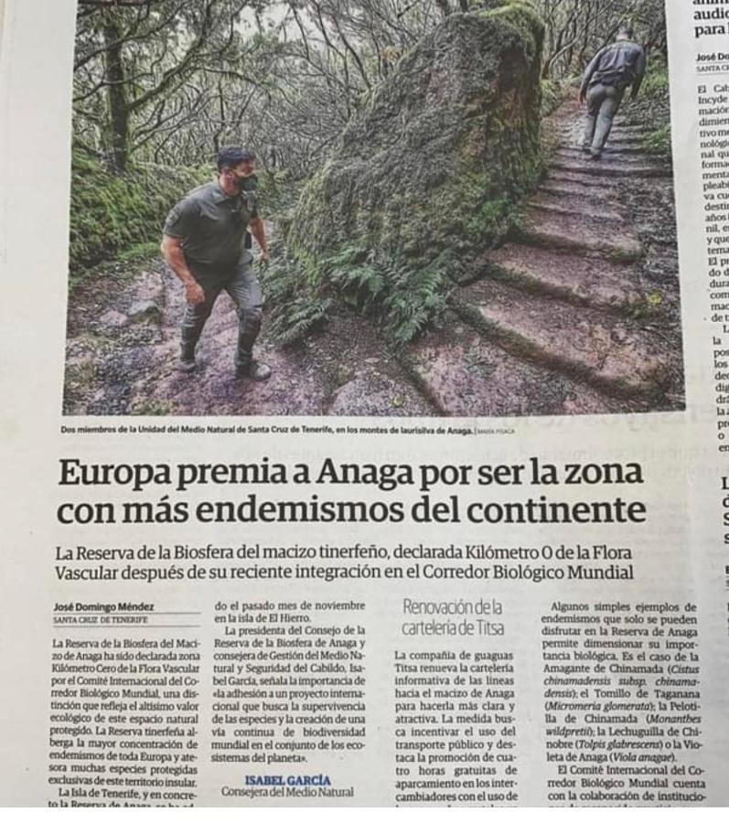 Lugar ideal para disfrutar de La Laguna y Anaga Las Mercedes Exterior foto