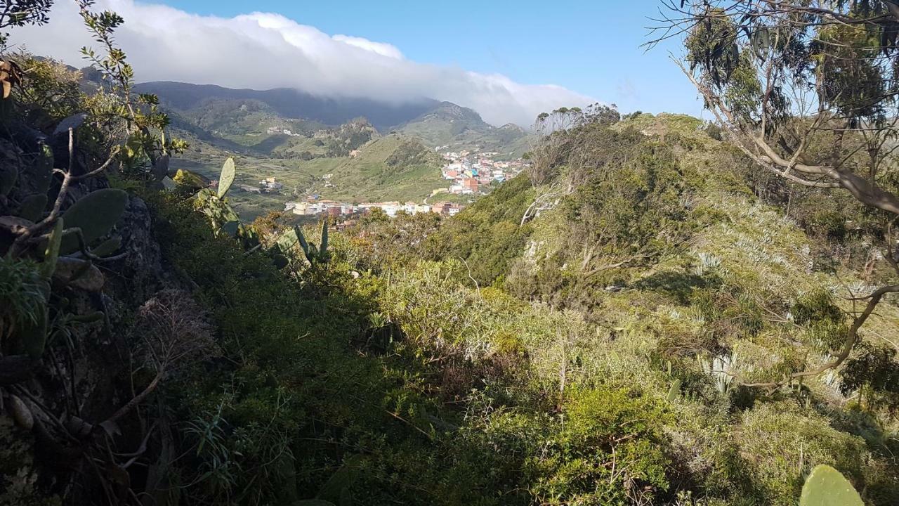 Lugar ideal para disfrutar de La Laguna y Anaga Las Mercedes Exterior foto