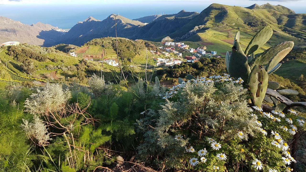 Lugar ideal para disfrutar de La Laguna y Anaga Las Mercedes Exterior foto