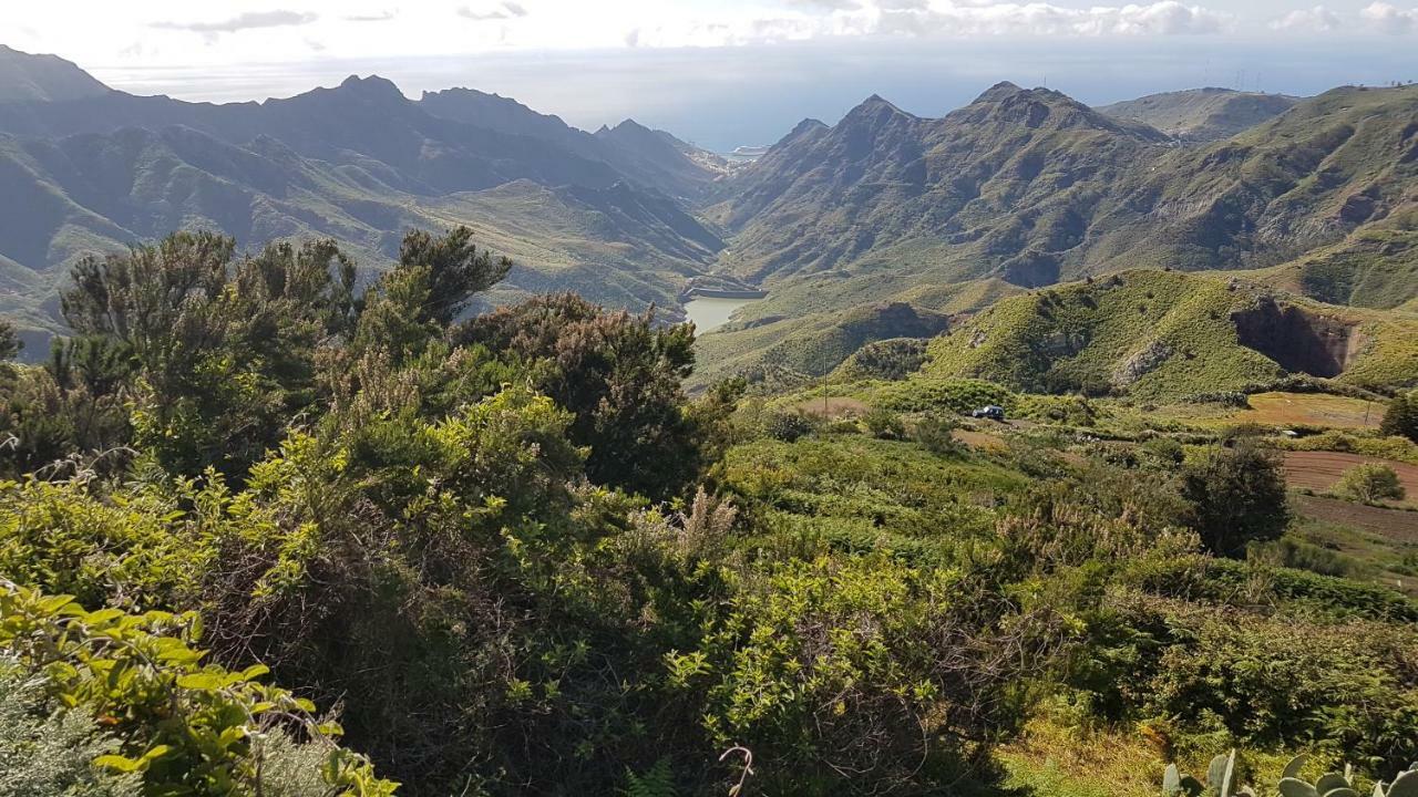 Lugar ideal para disfrutar de La Laguna y Anaga Las Mercedes Exterior foto