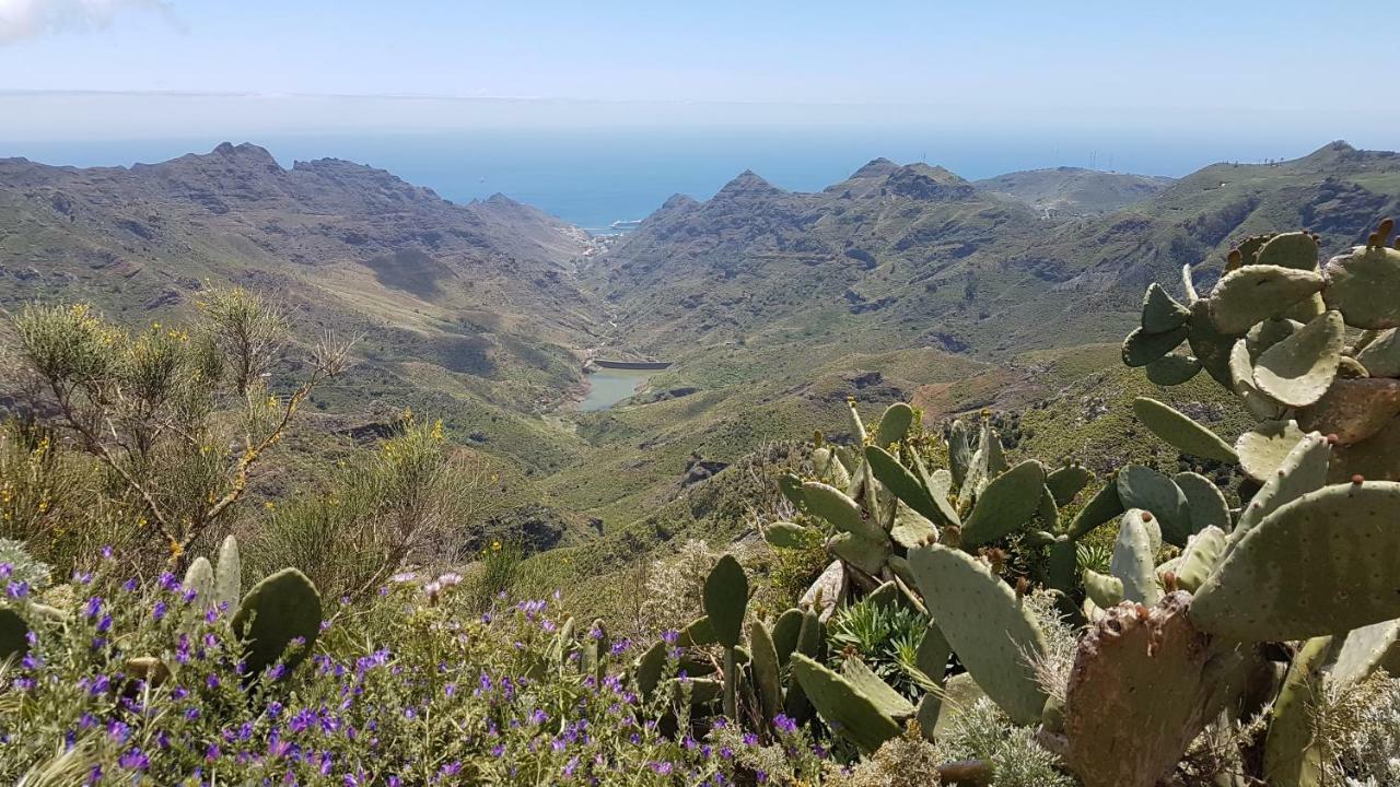 Lugar ideal para disfrutar de La Laguna y Anaga Las Mercedes Exterior foto